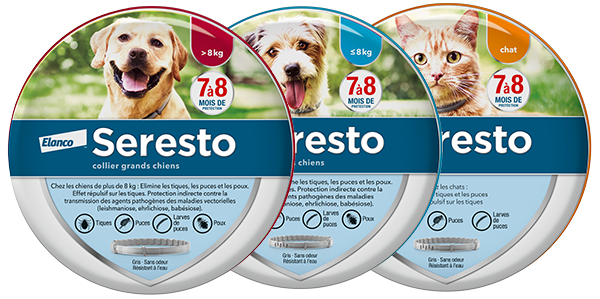 Seresto collier